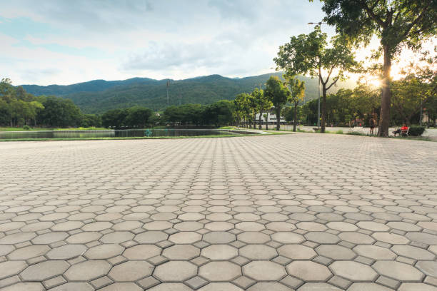 Best Permeable Paver Driveway  in Murfreesboro, NC