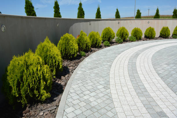 Best Commercial Driveway Pavers  in Murfreesboro, NC